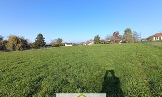 Photo N° 5