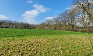 Photo N° 3