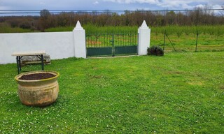 Photo N° 4