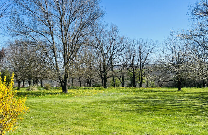 Propriété avec parc arboré — photo 4