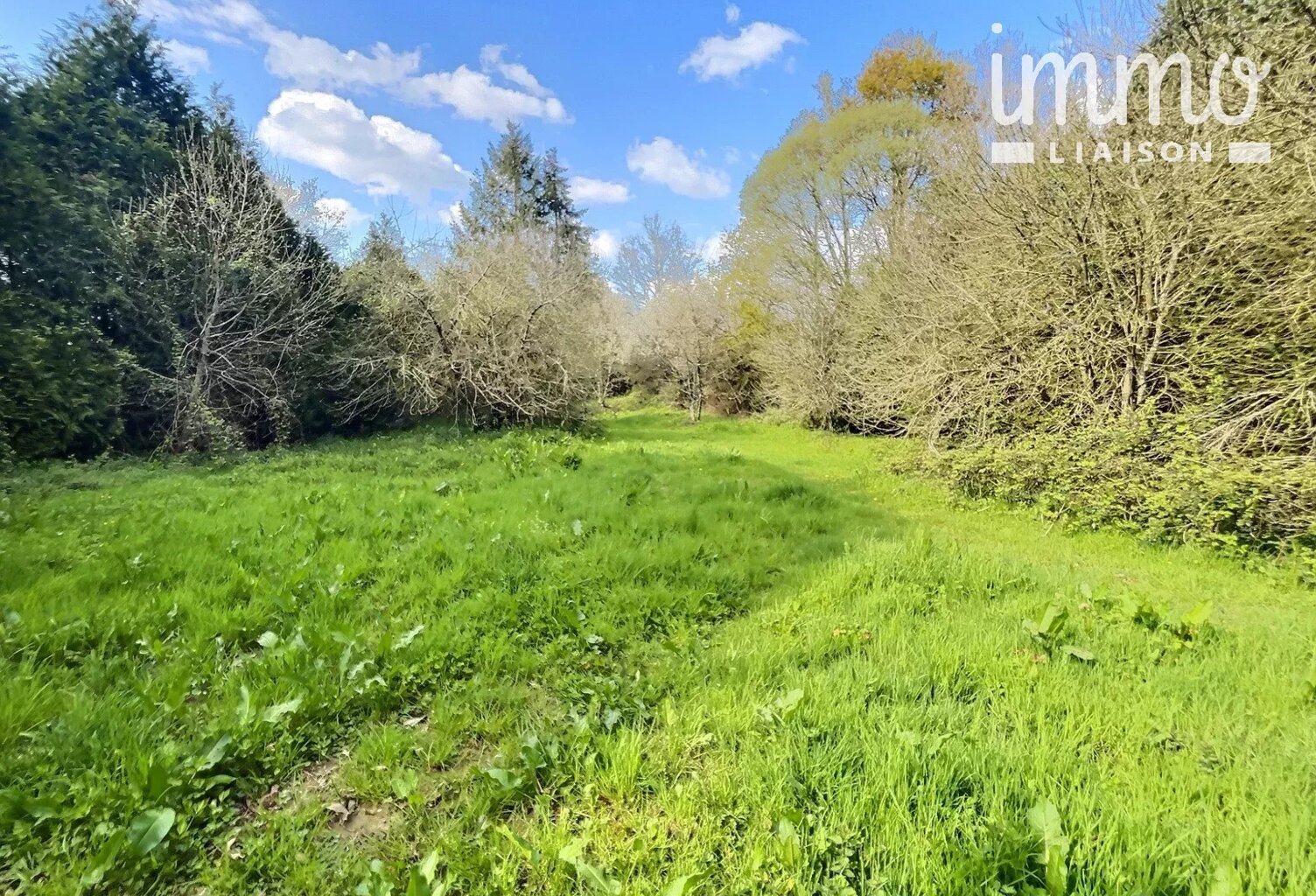 NOZAY, Terrain de Loisirs avec son étang — photo 1