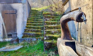 Photo N° 2