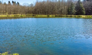 Photo N° 3