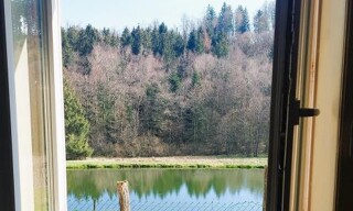 Photo N° 9