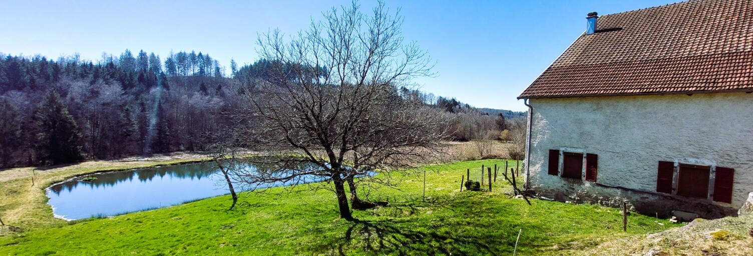 Maison 5 Pièces 160 m² à vendre à La Longine (70310)