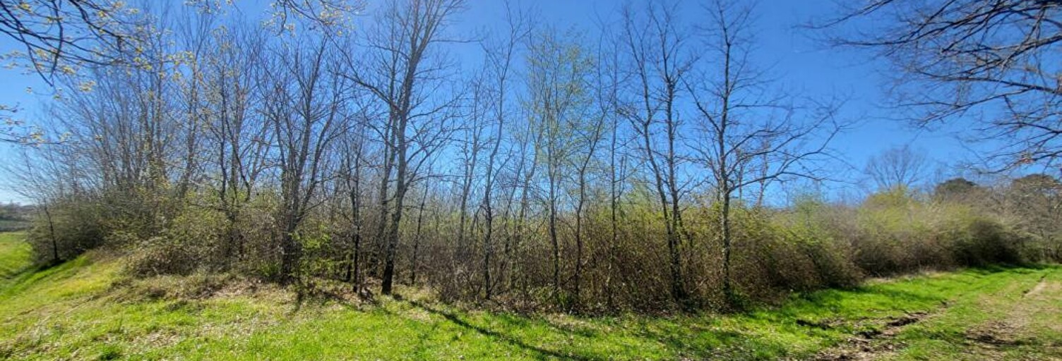 Terrain  7061 m² à vendre à Castelnau-de-Médoc (33480)