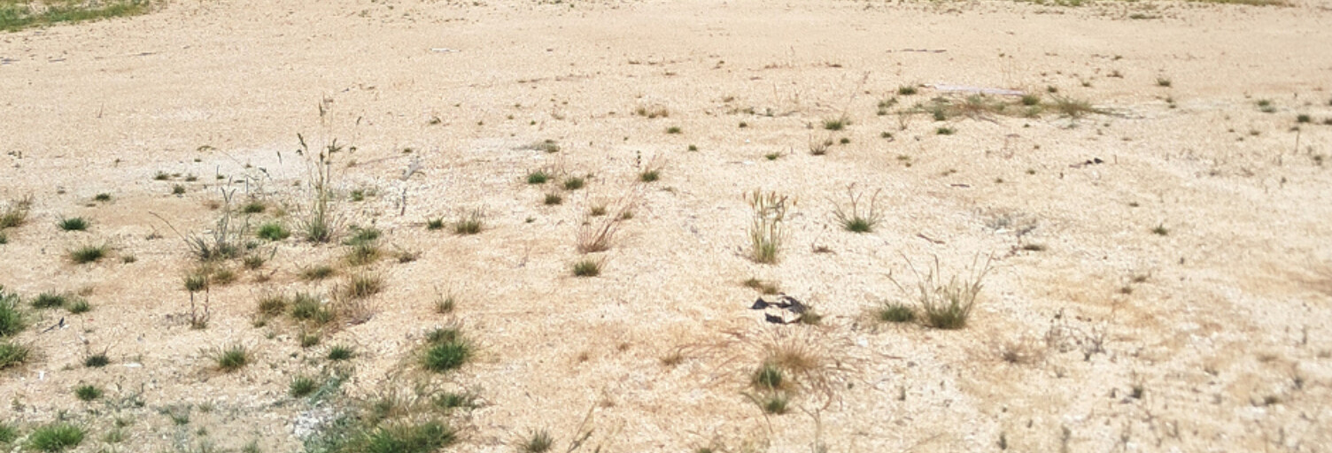 Terrain  989 m² à vendre à La Neuville-au-Temple (51400)