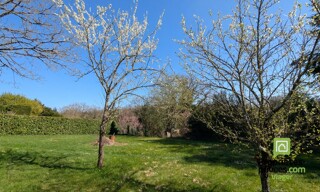 Photo N° 4