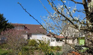 Photo N° 5