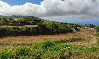 Terrain  515 m² à vendre à Saint-Leu (97424)