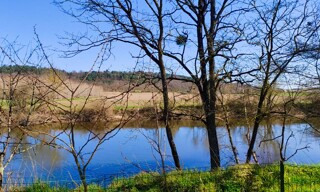 Photo N° 3
