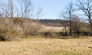 Photo N° 4