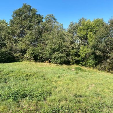 Terrain  35000 €