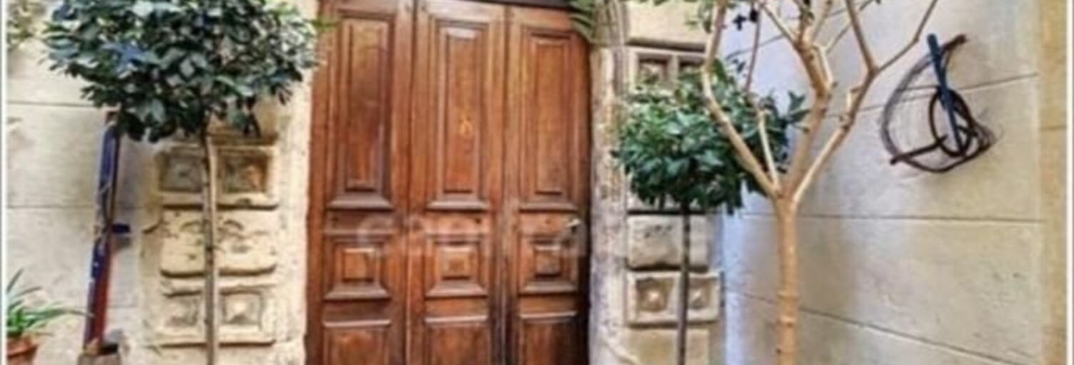 Maison 285 m² en viager Bagnols-sur-Cèze (30200)