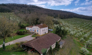 Photo N° 4