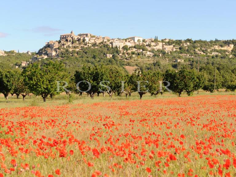 Terrain constructible de 1500 m² dans un hameau de Gordes. — photo 1