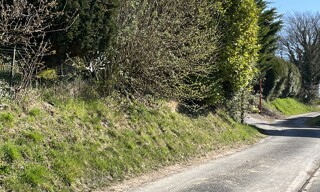 Photo N° 4