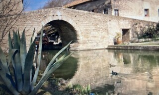 Photo N° 4