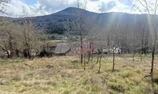 Photo N° 3
