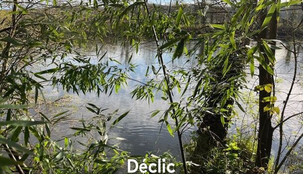 Villa / Maison 3 pièces  à vendre Chapelle-Moulière (La) 86210