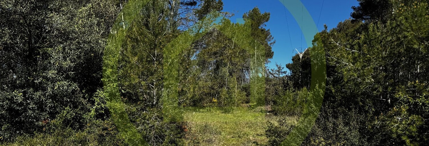 Terrain   m² à vendre à Saint-Paul-en-Forêt (83440)