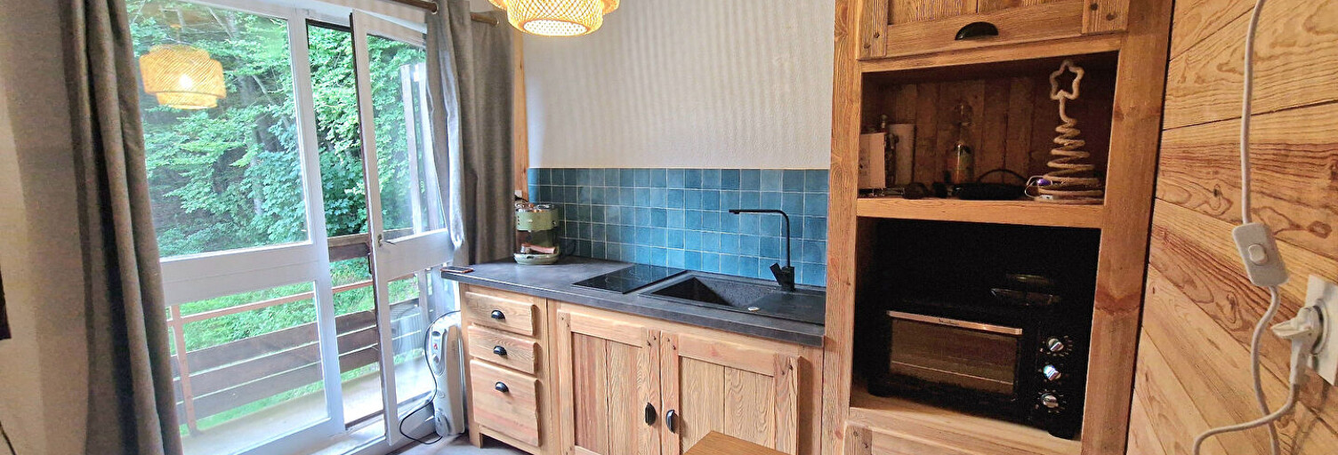 Appartement 1 Pièce 22 m² à vendre à Château-Bernard (38650)