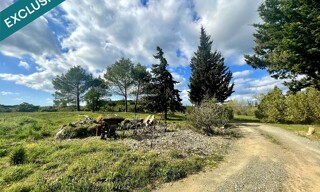 Photo N° 8