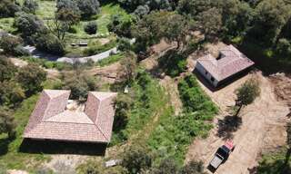 Maison 4 Pièces 96 m² à vendre à Sollacaro (20140)