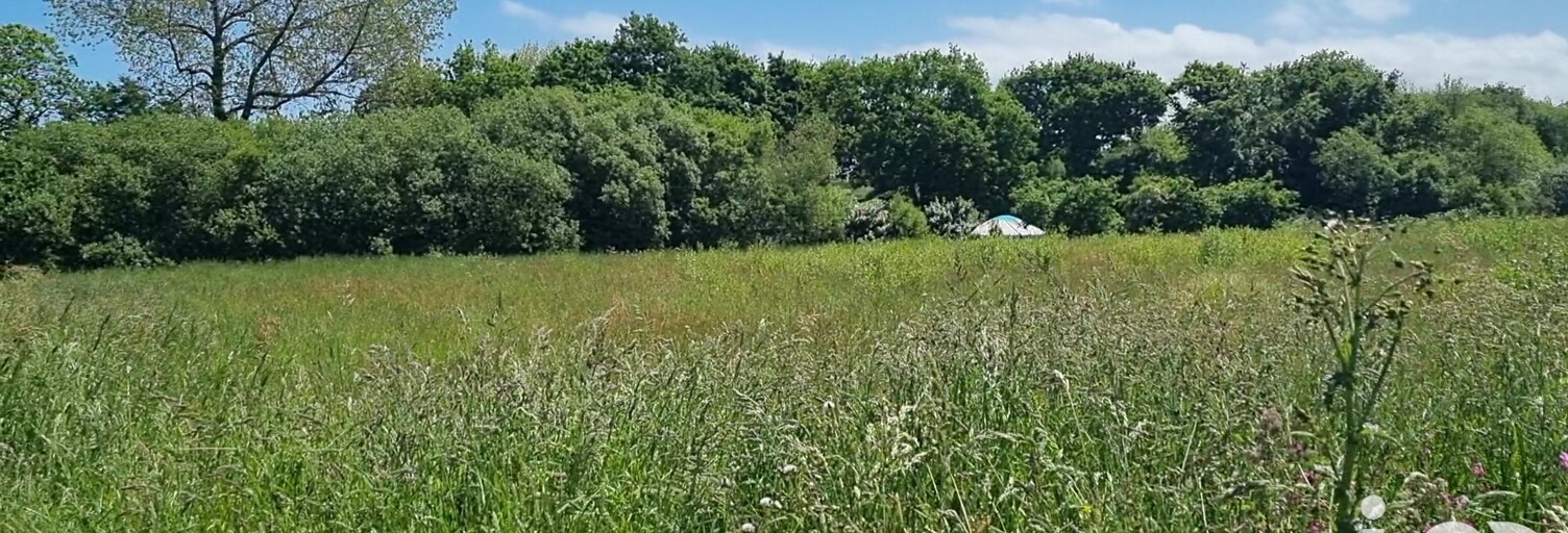 Terrain  528 m² à vendre à Pleubian (22610)