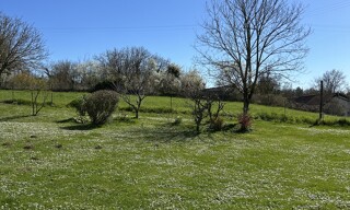 Photo N° 5