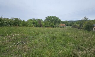 Photo N° 4