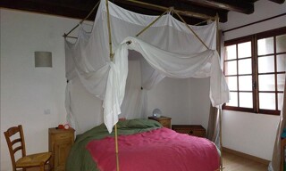 Photo N° 3