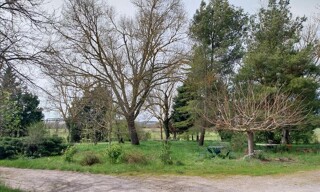 Photo N° 7