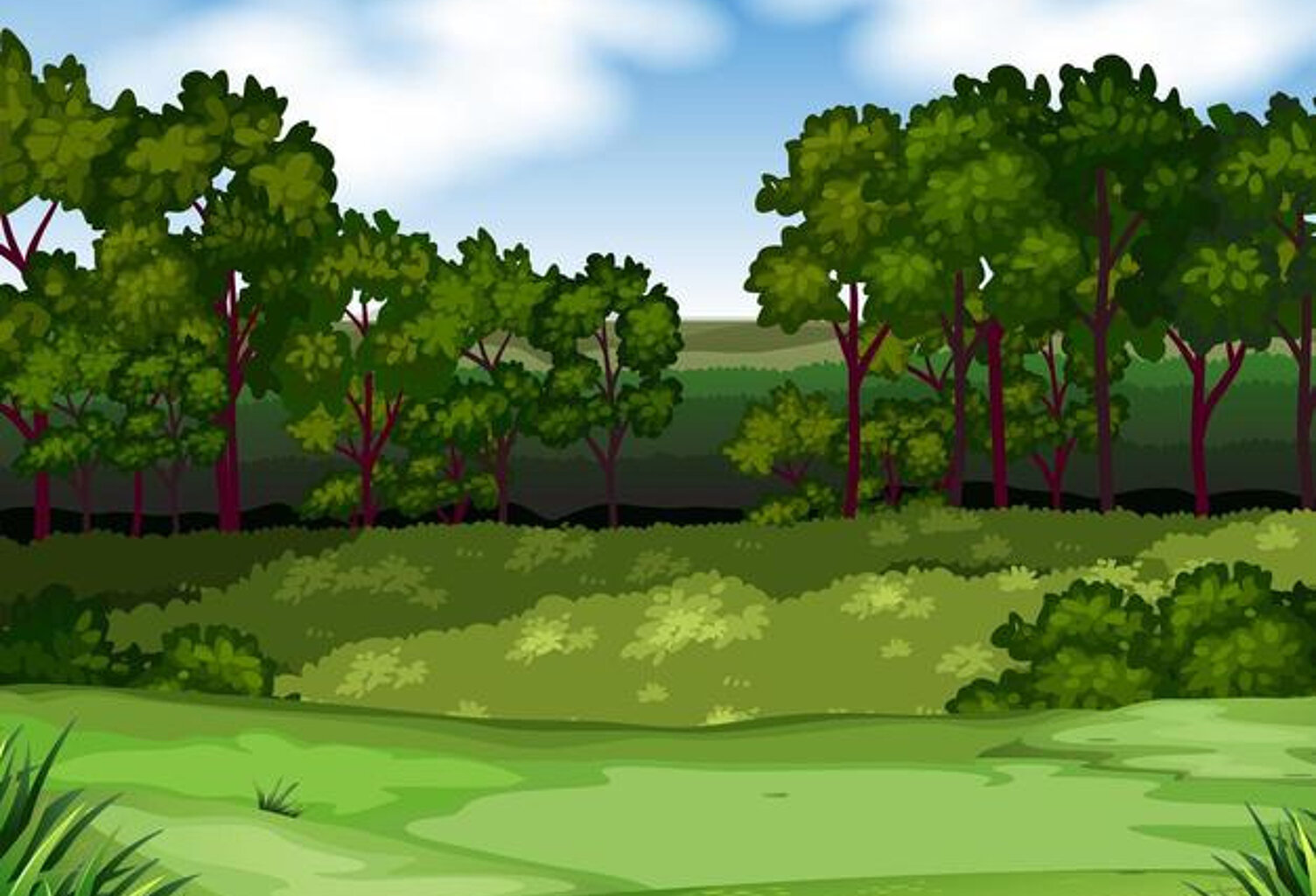 Terrain de loisirs — photo 1
