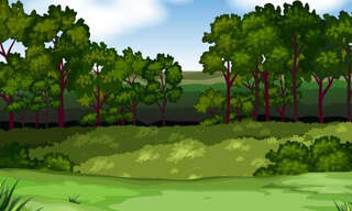 Terrain  5704 m² à vendre à Festieux (02840)