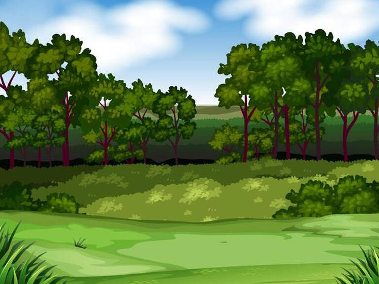 Terrain de loisirs — photo 1