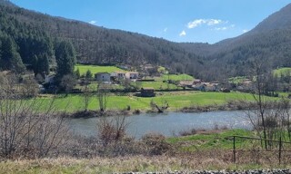 Photo N° 3