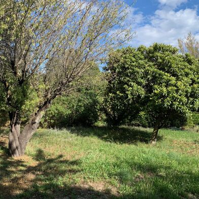 Terrain  149500 €