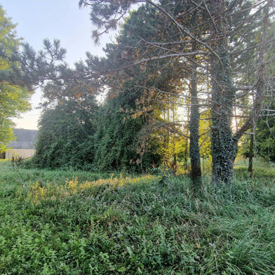 Terrain  54900 €