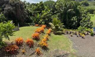 Immeuble  363 m² à vendre à Le Vauclin (97280)