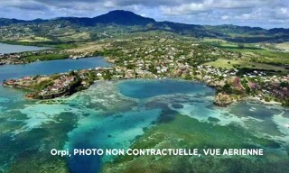 Photo N° 4