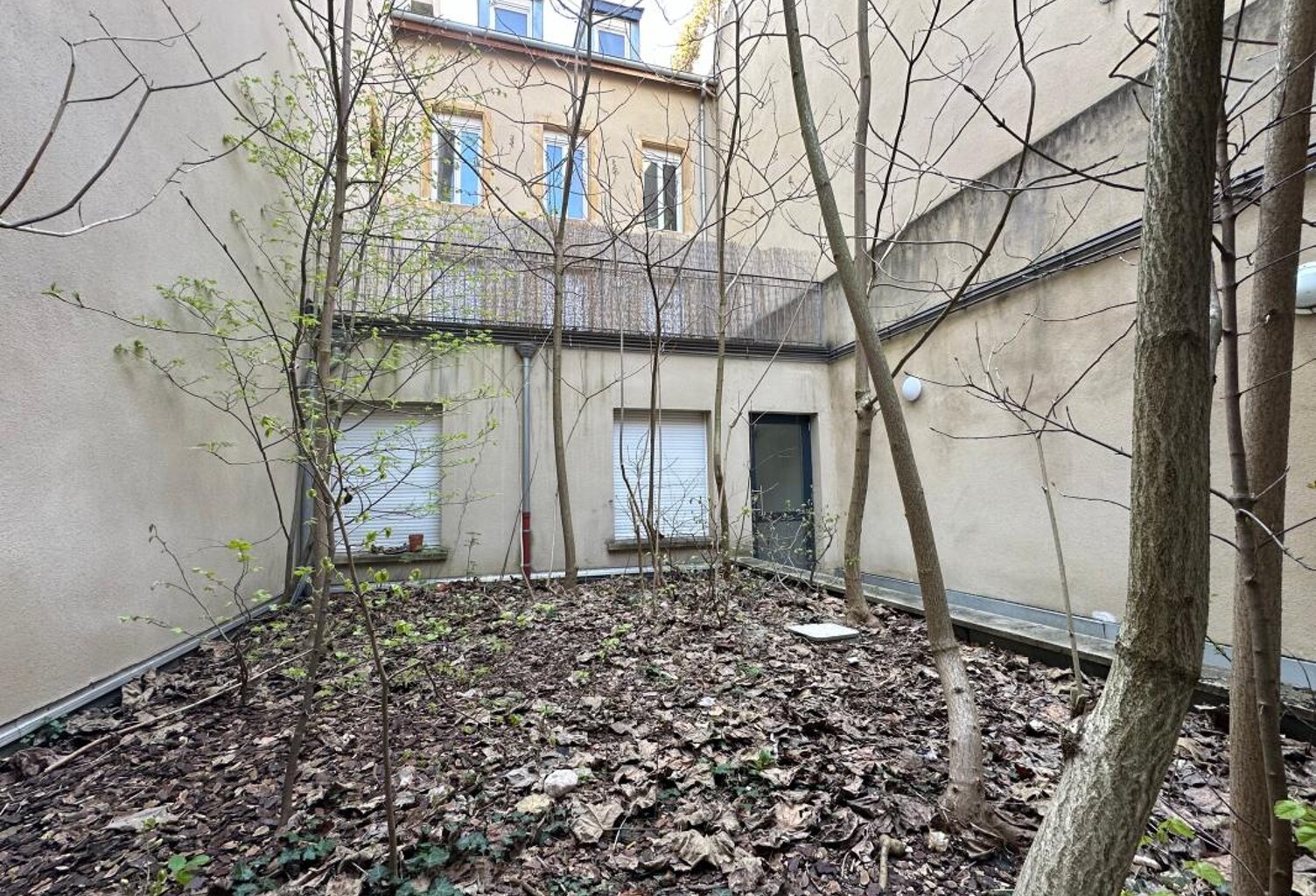 À découvrir au coeur de Metz ! — photo 1