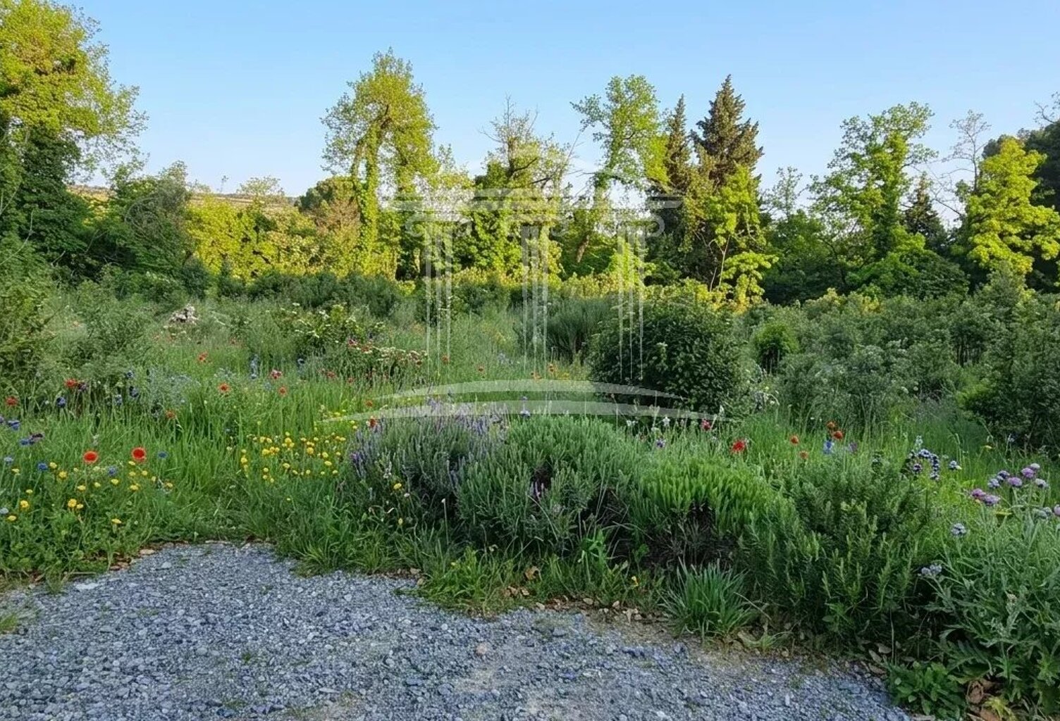 Bédarrides entre Orange et Avignon — photo 1