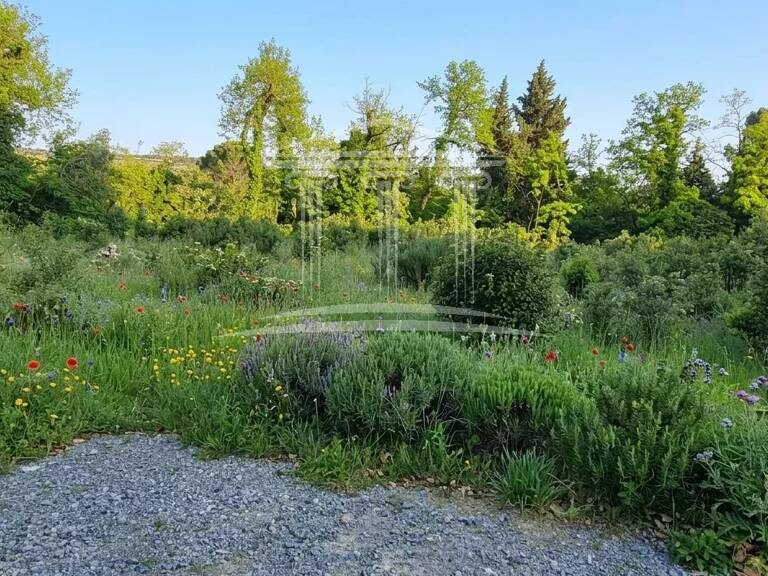 Bédarrides entre Orange et Avignon — photo 1