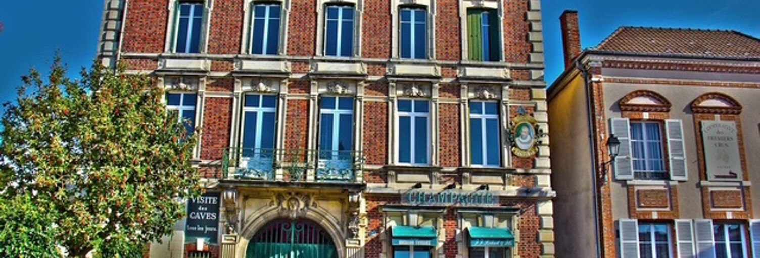 Maison 15 Pièces 350 m² à vendre à Épernay (51200)