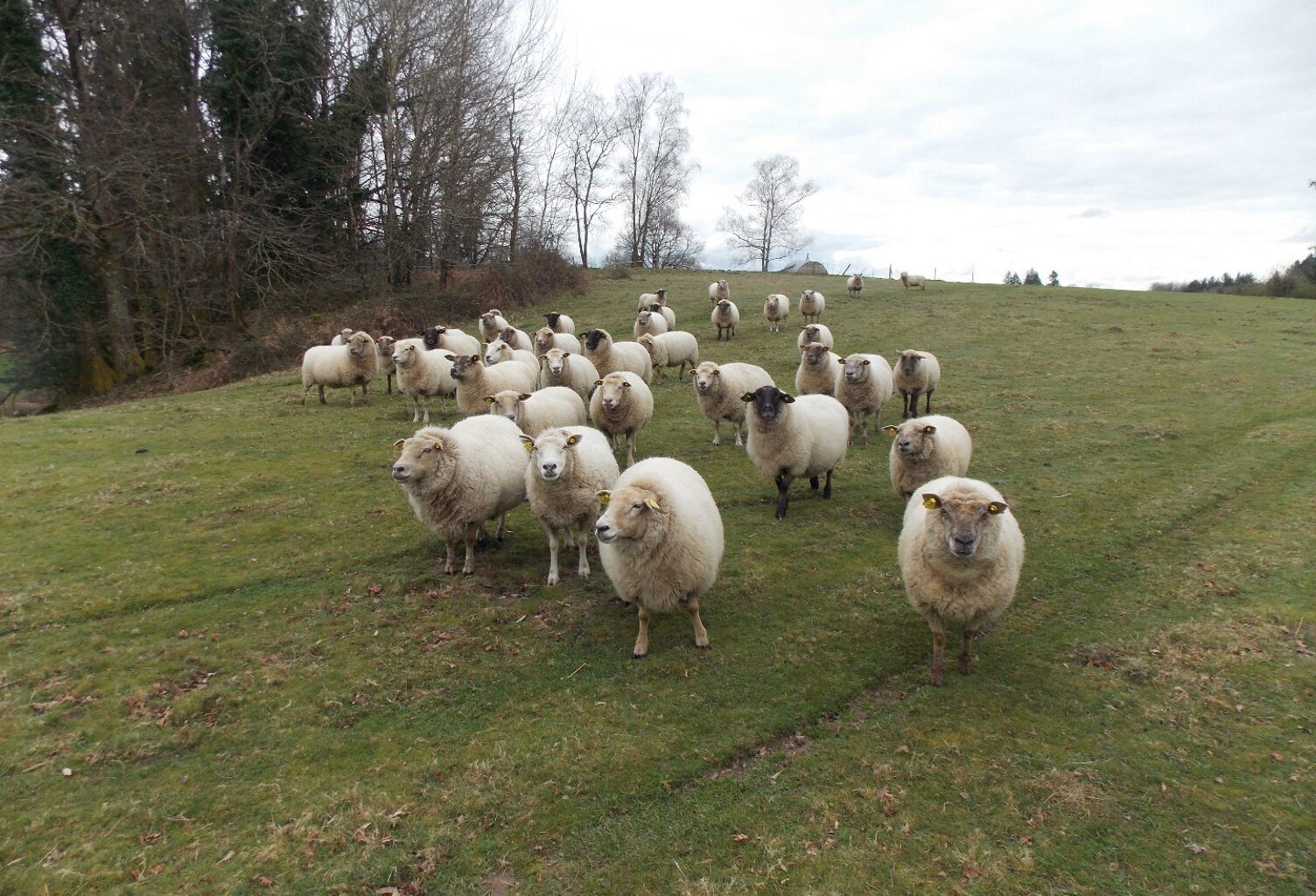 Corps de ferme — photo 1