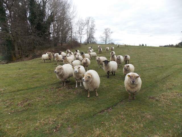 Corps de ferme — photo du bien