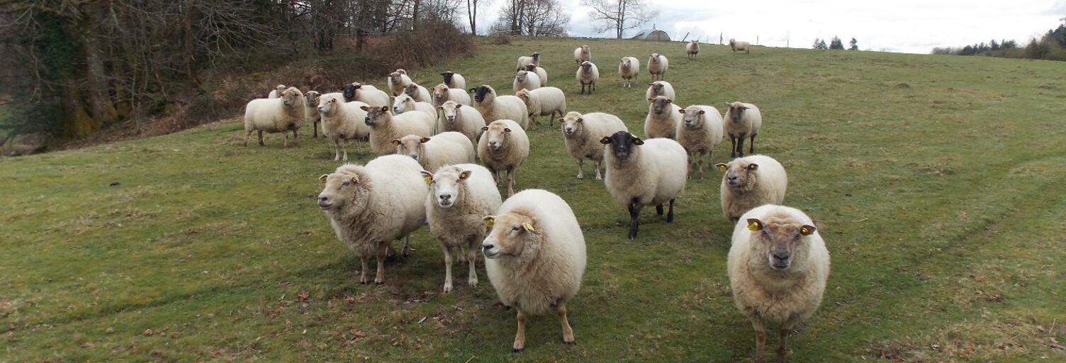 Maison 5 Pièces 110 m² à vendre à Marval (87440)