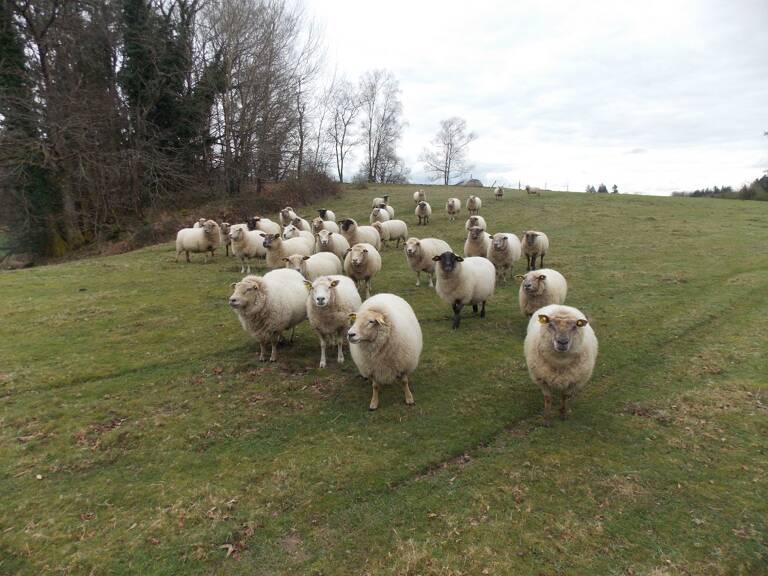 Corps de ferme — photo 1