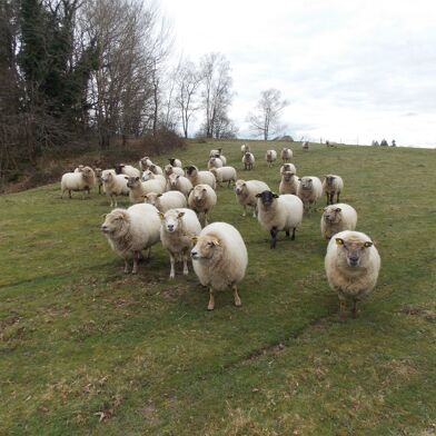 Maison 5 pièces 498000 €